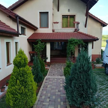 Apartament Casa Doina Băile Felix Zewnętrze zdjęcie