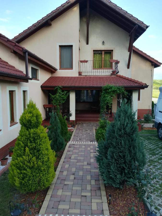 Apartament Casa Doina Băile Felix Zewnętrze zdjęcie