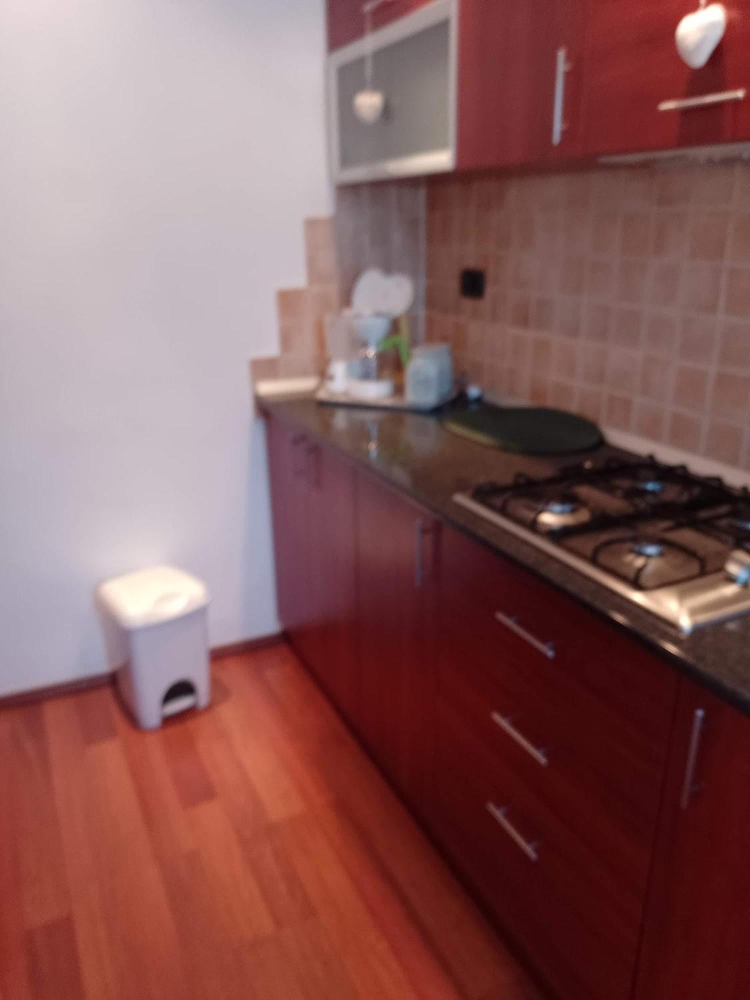 Apartament Casa Doina Băile Felix Zewnętrze zdjęcie