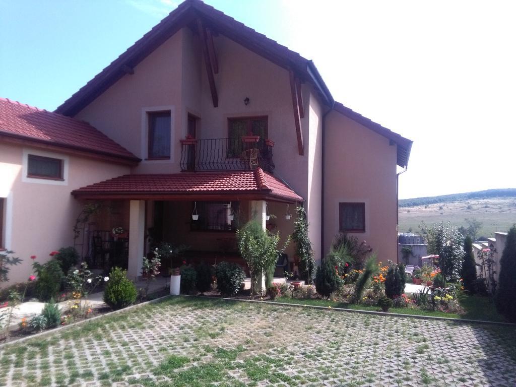Apartament Casa Doina Băile Felix Zewnętrze zdjęcie