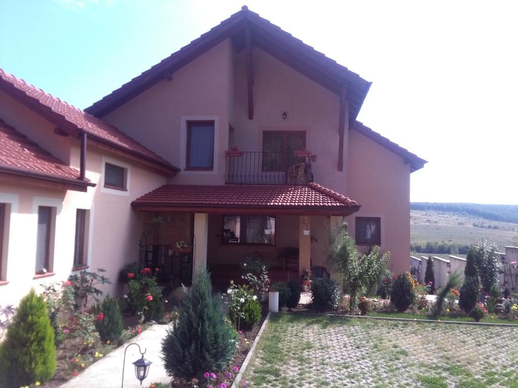 Apartament Casa Doina Băile Felix Zewnętrze zdjęcie