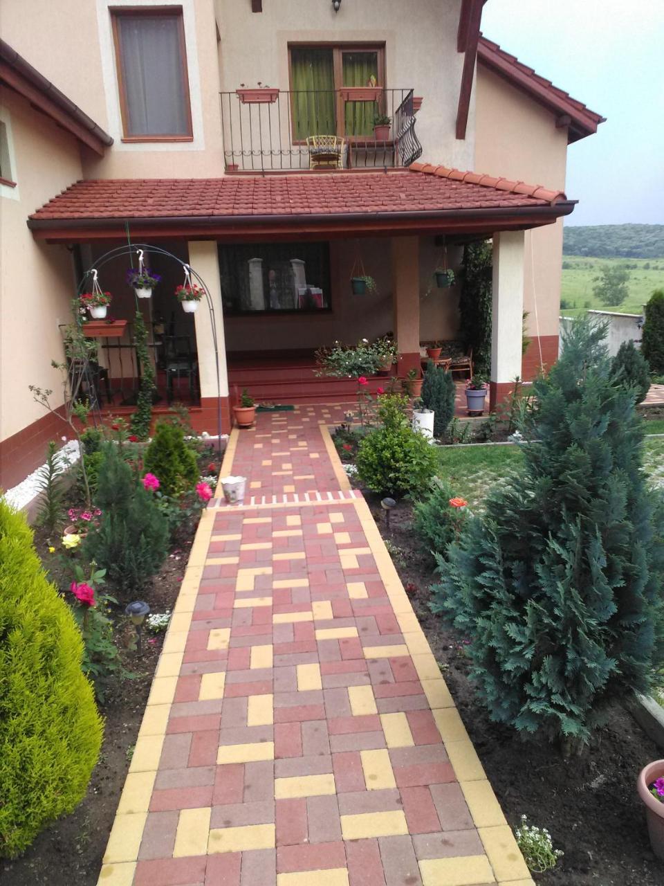 Apartament Casa Doina Băile Felix Zewnętrze zdjęcie